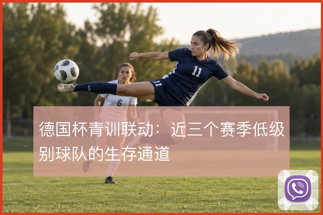 德国杯青训联动：近三个赛季低级别球队的生存通道